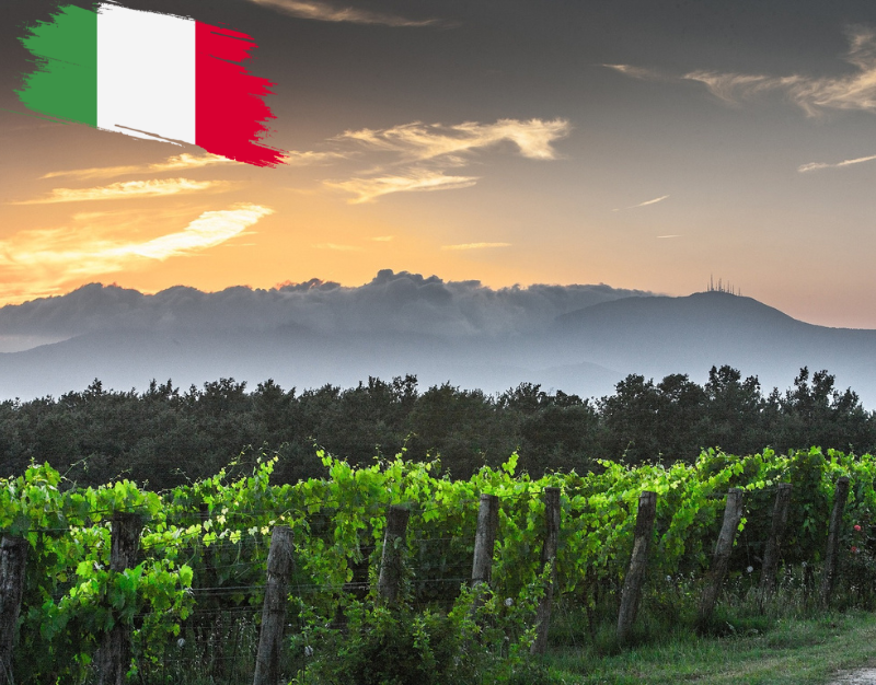 p Italienische Weinwelt