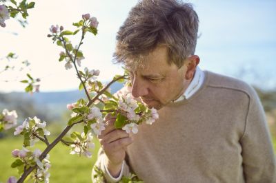 Streuobstwiesen als wichtiger Teil der Natur